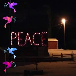 Meet your Posher, Ruth